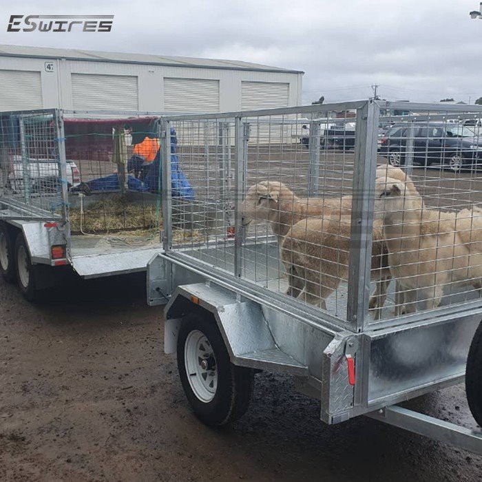 6x4 cage application